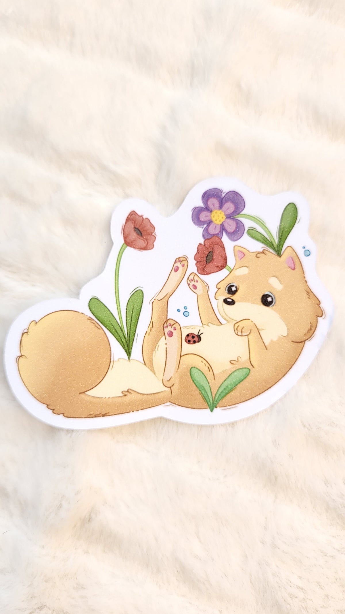 Shiba with a Ladybug